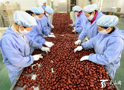 新疆阿拉爾墾區(qū) 紅棗嚴(yán)格分級(jí)打造品牌，助推農(nóng)副產(chǎn)品升級(jí)